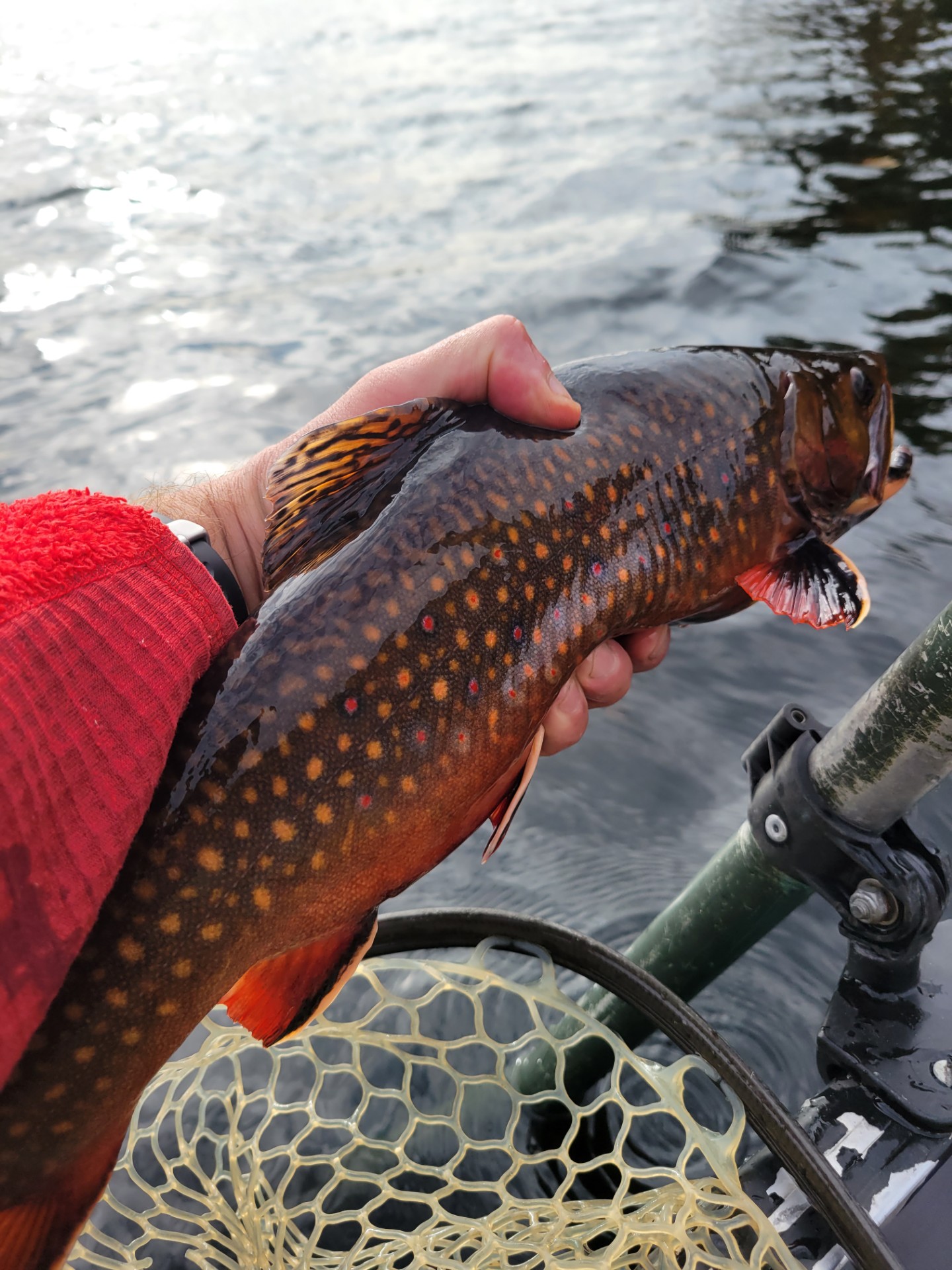someone holding a spotted fish by a river
